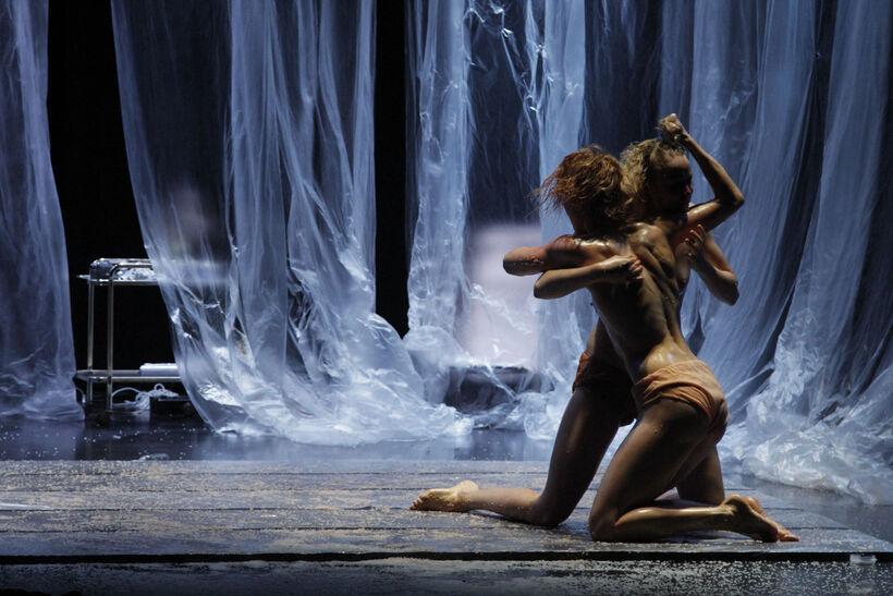 Forced Beauty. Foto: Jan Hajdelak Husták.